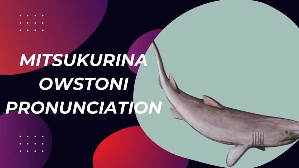 mitsukurina owstoni pronunciation